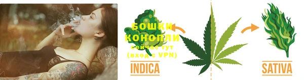 мяу мяу мука Михайловка