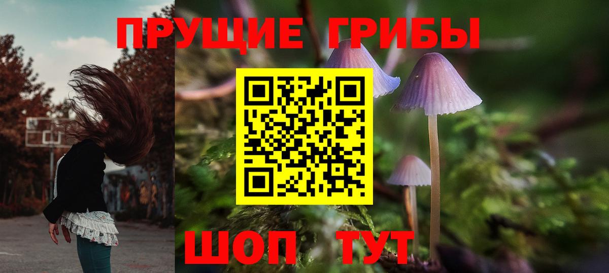 Псилоцибиновые грибы Magic Shrooms  Галлюциногенные грибы GOLDEN TEACHER  Вход с VPN  Осинники 